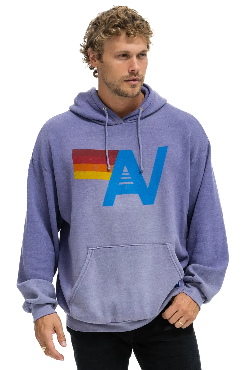 VINTAGE LOGO RELAXED PULLOVER HOODIE - FADED GRAPE